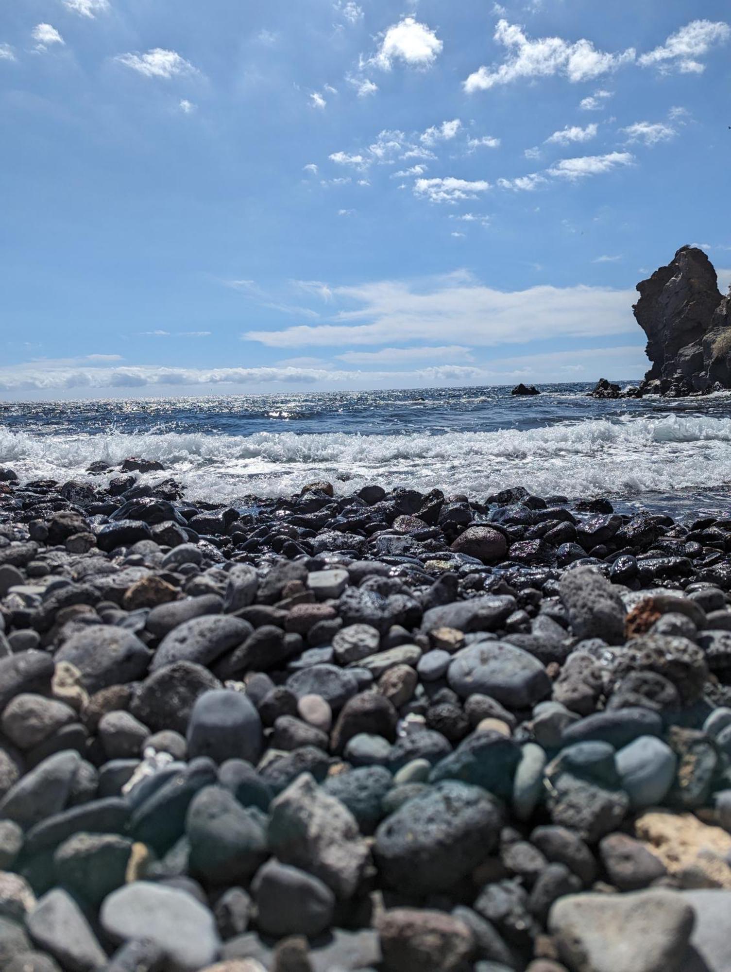 Bluehorizon Haven Daire Los Abrigos Dış mekan fotoğraf
